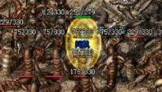 ��1.76���ž�Ʒ�л�ս��Ҫ�ú�����Լ�����