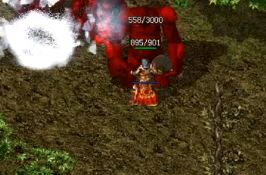 ��Ѫ����˽��������Ϊʲô�����˻��ղ���