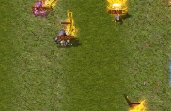 ��˽������ҳ��˵ȼ������׷��ʲô