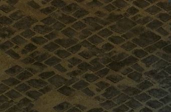 �ڱ�̬���������ѧ������ǳ�����Ҫ