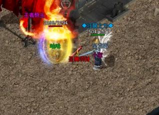 1.76��Ʒ���ŵĽ������������Щ�ص�