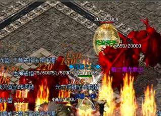 �ڵ�ְҵ����˽�������������ѧ������