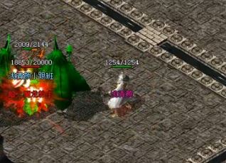 ��ø����͵������ǳ�ͨ��