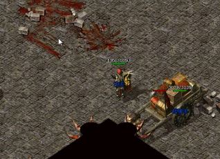 ����������С����ȷ��ְҵ