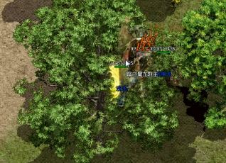 1.80复古合击道士玩家的召唤技巧 1.80复古合击道士玩家的召唤技巧