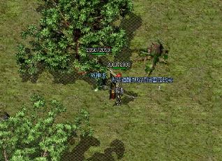 ����˽��������ʦҪ���սʤͬ�ȼ����������