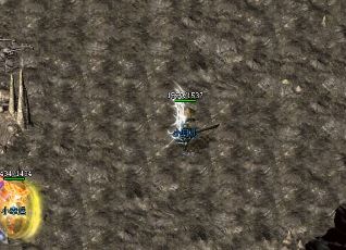 ���������鶼����ô���ģ�