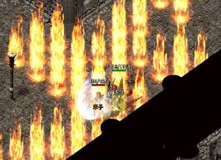 ������ϸ���ܲ�ͬ���Ե�����