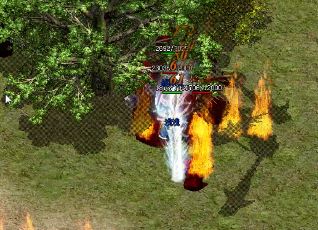 ���洿�Ȳ��ߵĺ�����ʯ������