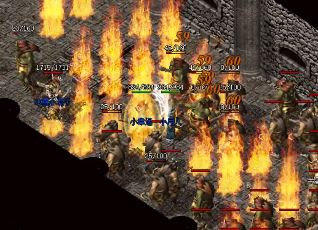 未知暗殿这些与众不同的怪物 未知暗殿这些与众不同的怪物