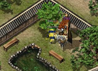 ����ֻ������֮һ��������˽����ķ�ʦ�������и�ǿ���ѡ��