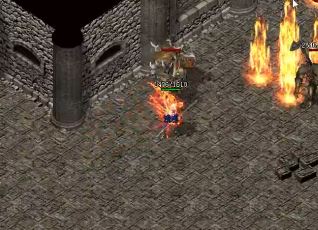 ��ְҵ�汾��������ļ��׵�װ���㶼������