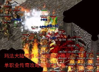 玛法大陆奇遇记:宠物小精灵单职业传奇攻略秘籍大公开 玛法大陆奇遇记:宠物小精灵单职业传奇攻略秘籍大公开