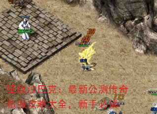 ��սɳ�Ϳˣ����¹��⴫��˽�����Դ�ȫ�����ֱض�