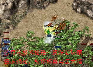 ����˽�����ؼ�����������Ҷ��ҽ��أ�����ư��귨��½