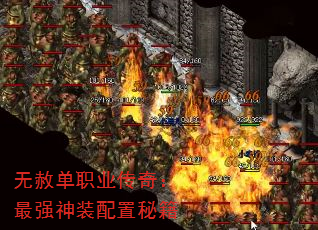 ���ⵥְҵ���棺��ǿ��װ�����ؼ�