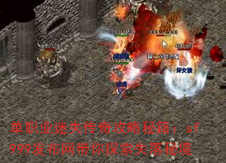 ��ְҵ��ʧ���湥���ؼ���sf999����������̽��ʧ���ؾ�