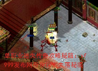 ��ְҵ��ʧ���湥���ؼ���sf999����������̽��ʧ���ؾ�