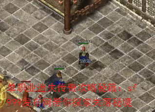 ��ְҵ��ʧ���湥���ؼ���sf999����������̽��ʧ���ؾ�