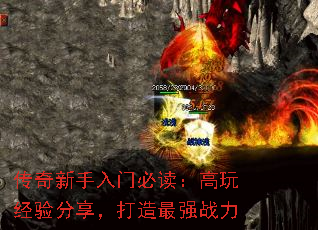 �����������űض������澭�������������ǿս��