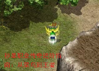 �뵥ְҵ�������ָ�ϣ��Ӳ�������