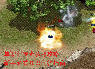 单职业传奇私服攻略:新手必看知识问答指南 单职业传奇私服攻略:新手必看知识问答指南