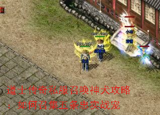 ��ʿ����˽���ٻ���Ȯ���ԣ�����ټ�������ʵս��