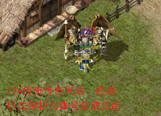 176���洫����վ�������淨�������˺Ż�ȡָ��