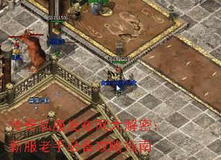 ����˽������������ܣ��·����ֱر�����ָ��