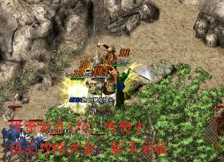 �����¿�176������С��Ʒ���Դ�ȫ�����ֱر�