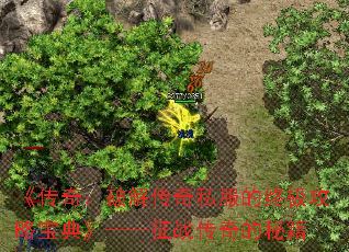 《传奇:破解传奇私服的终极攻略宝典》——征战传奇的秘籍 《传奇:破解传奇私服的终极攻略宝典》——征战传奇的秘籍