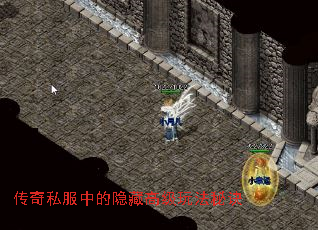 ����˽���е����ظ߼��淨�ؾ�