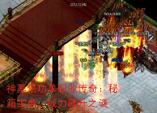 神墓倍功单职业传奇:秘籍宝典,战力飙升之谜 神墓倍功单职业传奇:秘籍宝典,战力飙升之谜