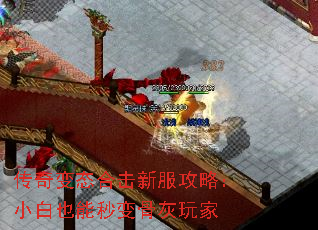 �����̬�ϻ��·����ԣ�С��Ҳ�����ǻ����