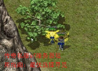 ����˽��sf����������ָ�ϣ�����ѡ��Ѱ��