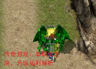 ������Ϸ����ְҵ֮·��������������