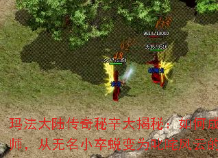 �귨��½������������أ���γɾ�һ����ʦ��������С���ɱ�Ϊ߳����ƵĴ���Ӣ��