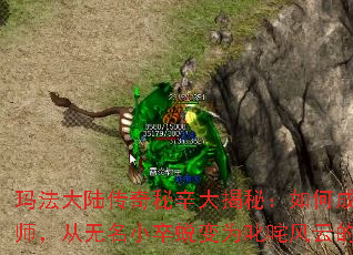 �귨��½������������أ���γɾ�һ����ʦ��������С���ɱ�Ϊ߳����ƵĴ���Ӣ��