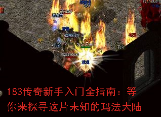 183������������ȫָ�ϣ�������̽Ѱ��Ƭδ֪���귨��½