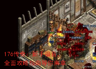 176���棺���ָ�����ȫ�湥��ָ�ϵ�������