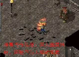 ��Ĺ����˽����������ڤ�ظ���̽�ز�Ϊ��֪�ı���