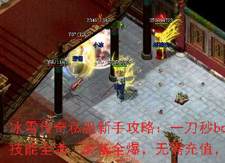 ��ѩ����˽�����ֹ��ԣ�һ����boss������ȫ����װ��ȫ���������ֵ����ˬ�Ƿ�