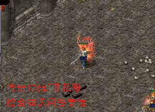 ����176�¿�˽���ۺ�֪ʶ�ʴ𼯽�