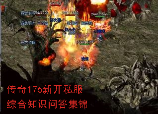 ����176�¿�˽���ۺ�֪ʶ�ʴ𼯽�