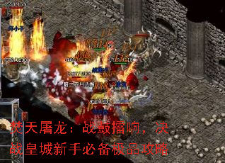 ����������ս�����죬��ս�ʳ����ֱر���Ʒ����