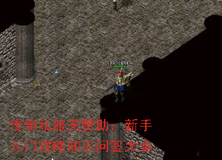 ����˽�����������������Ź���֪ʶ�ʴ��ȫ