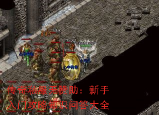 ����˽�����������������Ź���֪ʶ�ʴ��ȫ