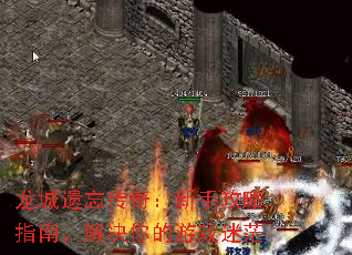 �����������棺���ֹ���ָ�ϣ���������Ϸ��ã