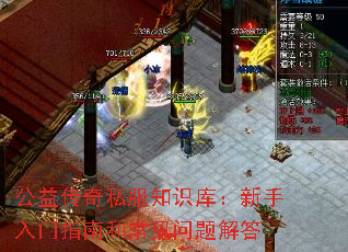 ���洫��˽��֪ʶ�⣺��������ָ�Ϻͳ���������