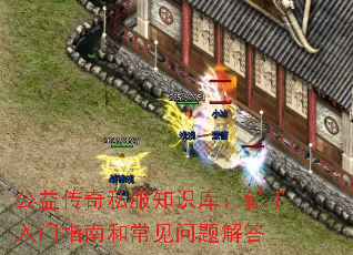 ���洫��˽��֪ʶ�⣺��������ָ�Ϻͳ���������